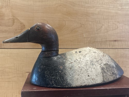 Antique canvasback drake duck - antique,