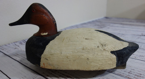 Vintage canvasback black white - canvasback,